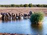 photo/namibia/Namibia_011.jpg