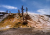 photo/north_america/yellowstone/YellowStone_01_005.jpg